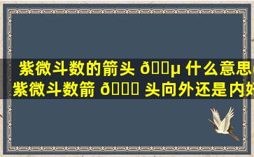 紫微斗数的箭头 🐵 什么意思(紫微斗数箭 🕊 头向外还是内好)